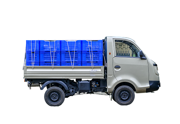 Tata Coral Bi-fule