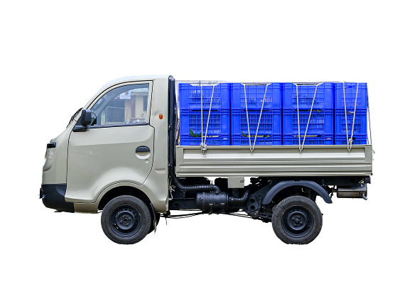 Tata Coral Bi-fule