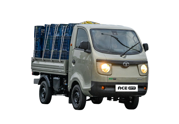 Tata Coral Bi-fule