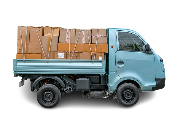 Ace Pro EV