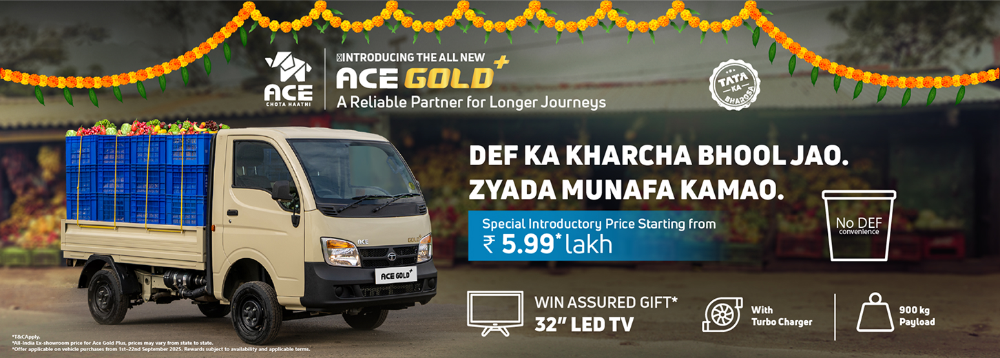 Ace gold plus