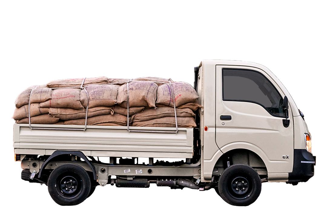 ACE GOLD Petrol - 02_2.png