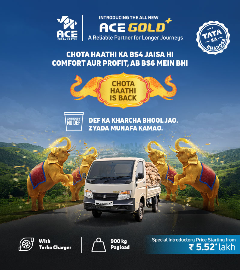 Ace Gold plus