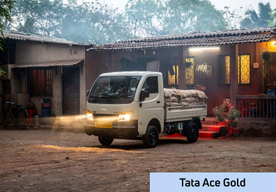 Tata Ace gold