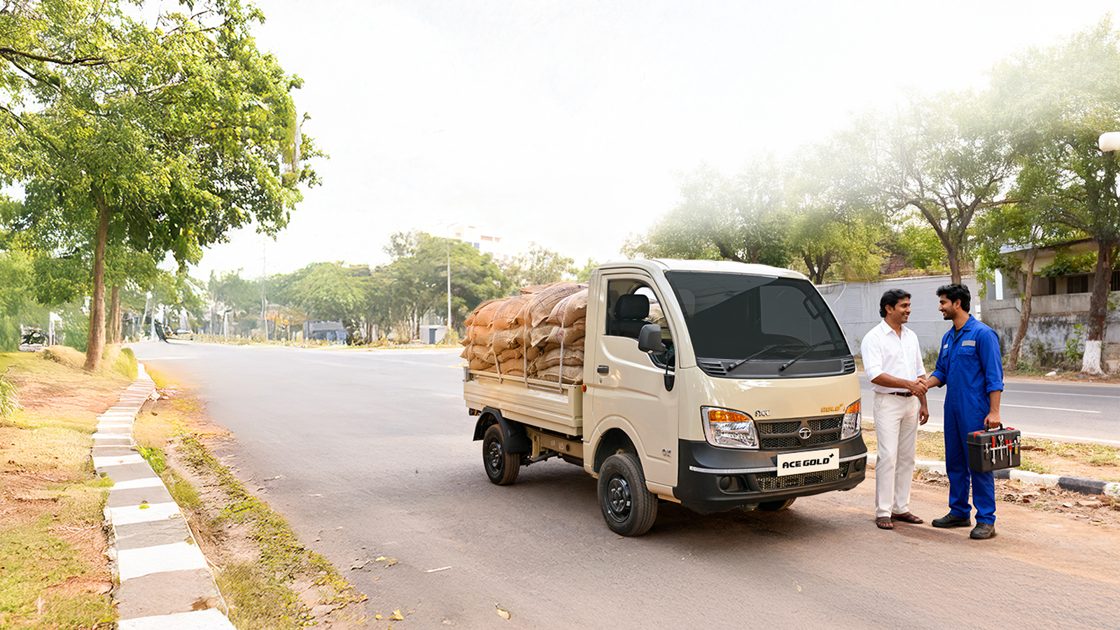 Mini Truck Buying Guide