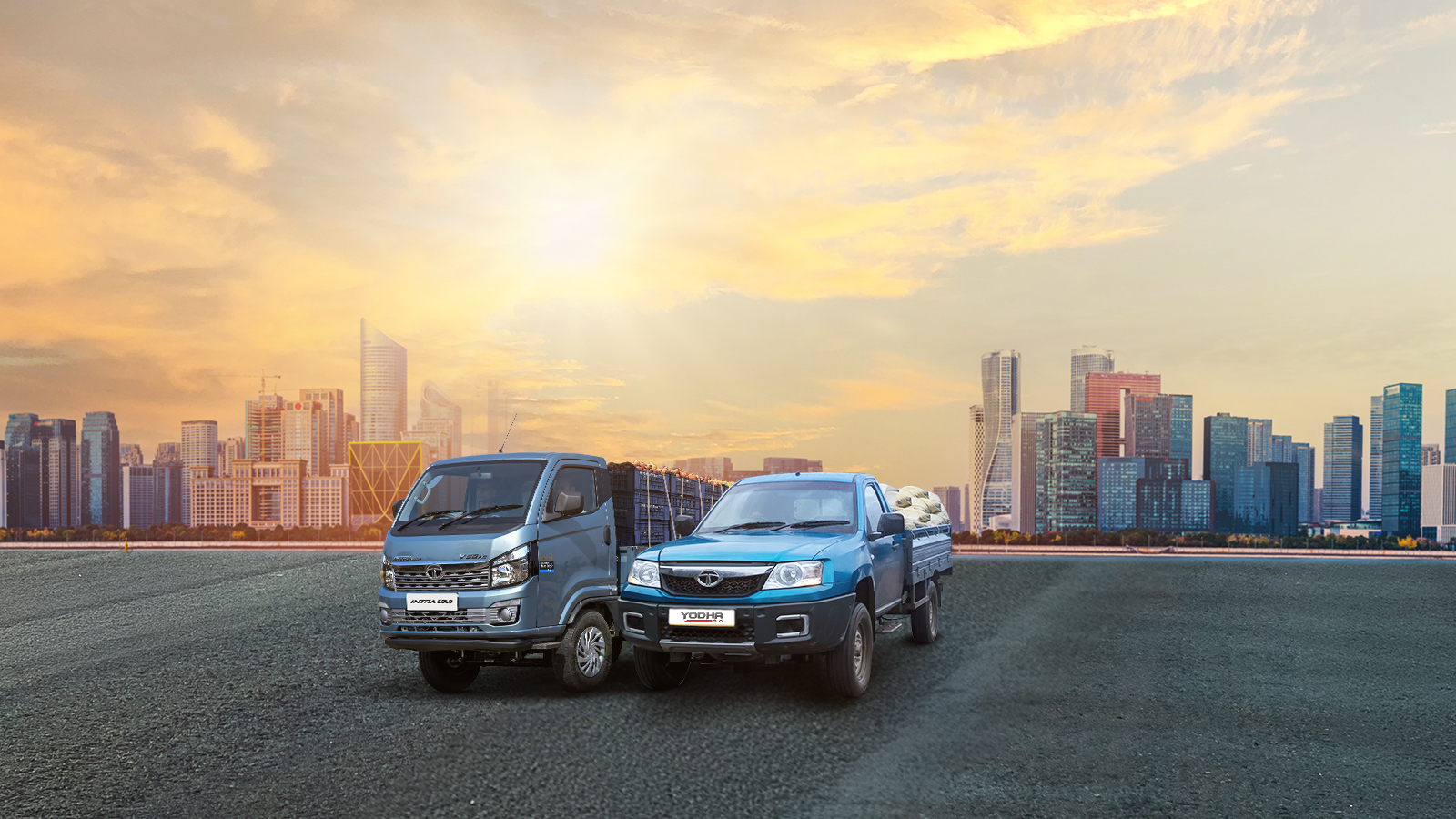 Pickup Truck vs Mini Truck