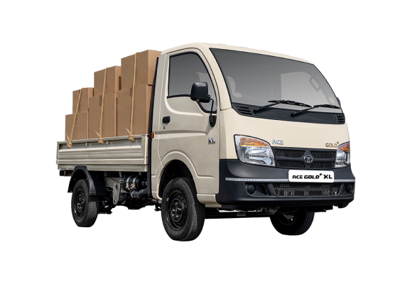 Tata Ace Gold Petrol