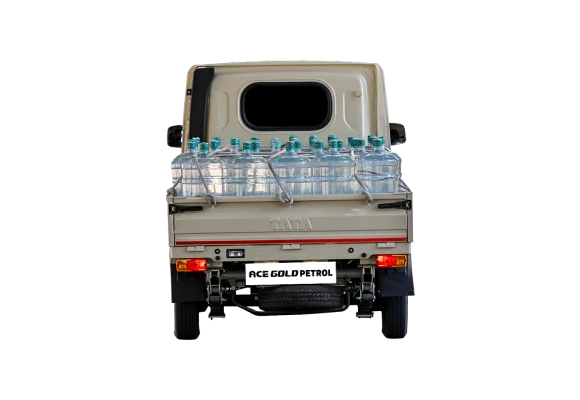 ace gold petrol back