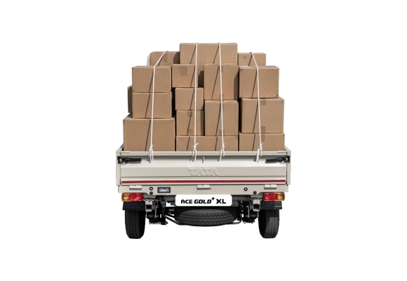 Tata Ace Gold Petrol - Back