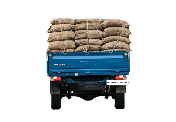 Tata Intra V30 Gold - Back