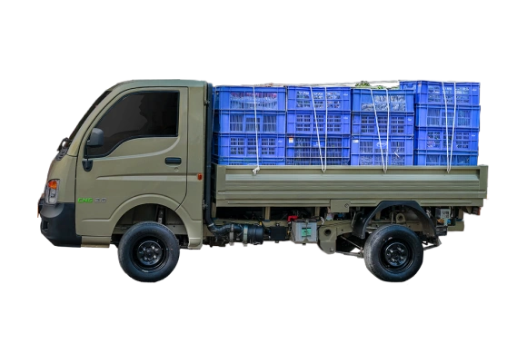 tata ace gold cng 2.0 side