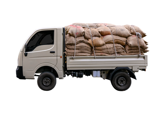 Tata Ace Gold Petrol