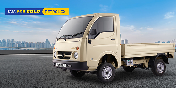 What is the Body Size and Loading Capacity of Tata Ace Gold Petrol CX